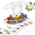 Window Bird Feeder with 5 Acrylic ID Cards - Clear Bird House for Outside with Removable Tray & Drain Holes - 4 Strong Suction Cups, Panoramic View for Wild Birds, Cat TV, Nature Gift