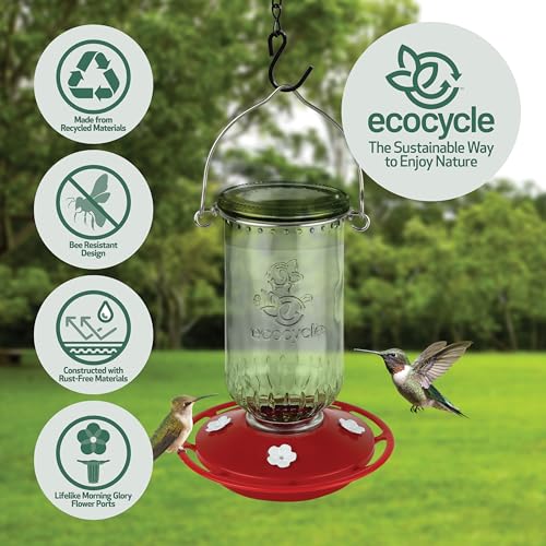 Ruby Roost Recycled Glass Hanging Glass Hummingbird Feeder for Outdoor Décor, 17 Ounce Capacity Nectar Feeder, 4 Removable Easy Clean Ports, Clear - style: Ruby Roost