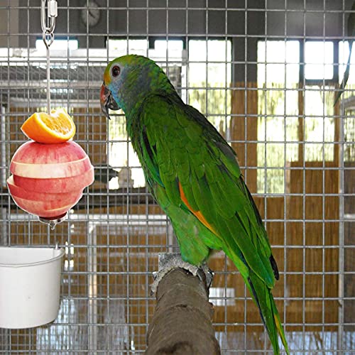 Bird Food Holder, Feeder Toy, Foraging Toy, Treat Skewer, Stainless Steel Parrot Fruit Vegetable Stick Holder (L) - color: L