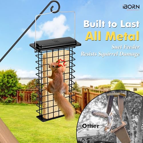 iBorn Metal Double Suet Feeder,Durable Suet Cake Cage Bird Feeder for Outdoors Hanging，Metal Roof Bird Feeder with Taller Grid for Woodpeckers,Large Suet Holder,Easy Clean & Refill,1 Pack,Black - color: Black, size: Double Capacity