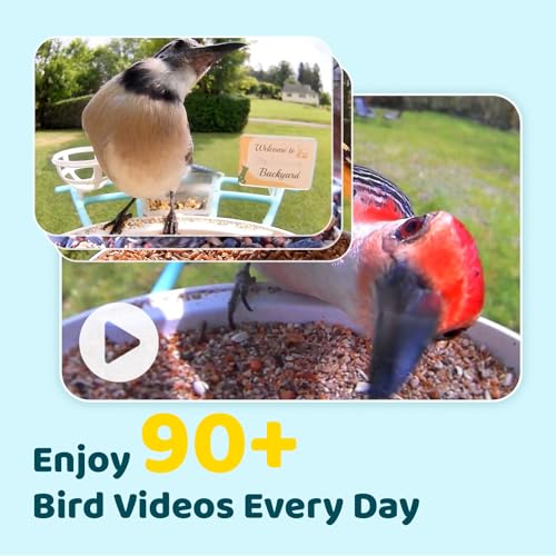 NETVUE by Birdfy Pro Smart Bird Feeder with Camera Solar Panel, Instant Arrival Alerts, Live Stream & Night Vision for Outdoors & Backyard Hummingbird, Cardinalis & Oriole Watching, Ideal Gifts, Blue - color: Blue, style: Pro