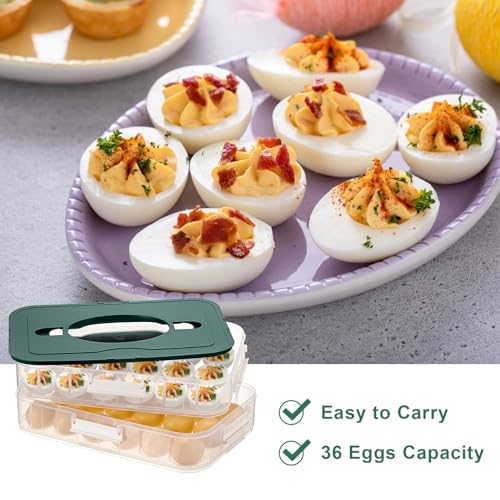 BTSKY Deviled Egg Platter with Lid, 2-Layer 36 Slots Deviled Eggs Carrier, Clear Portable Eggs Holder for Fridge Reusable Deviled Egg Tray Carton Box for Easter and Party Favor (2-Layer, Green) - color: Green, size: 2 Layer-Hold 36 Eggs