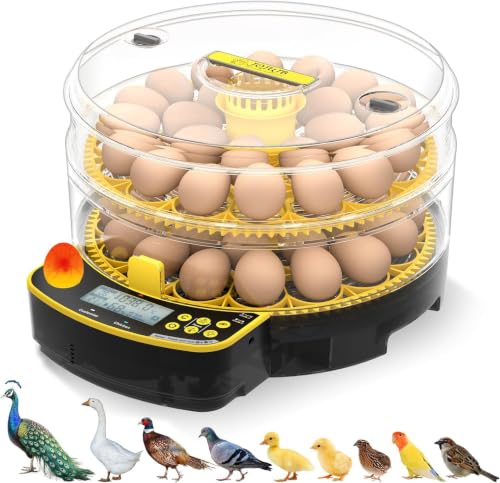 Egg Incubator for Hatching Eggs