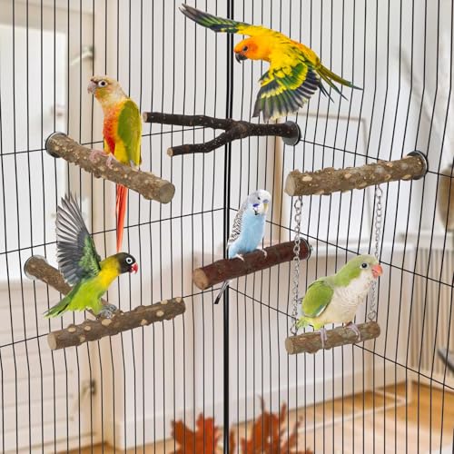 Hypeety Natural Wood Bird Perch for Parakeets Bird Chew Stands for Cage | Natural wood, anti-slip, with hanging swing, fork and T shaped perch, easy to install, suitable for parakeet/cockatiel, 5pcs