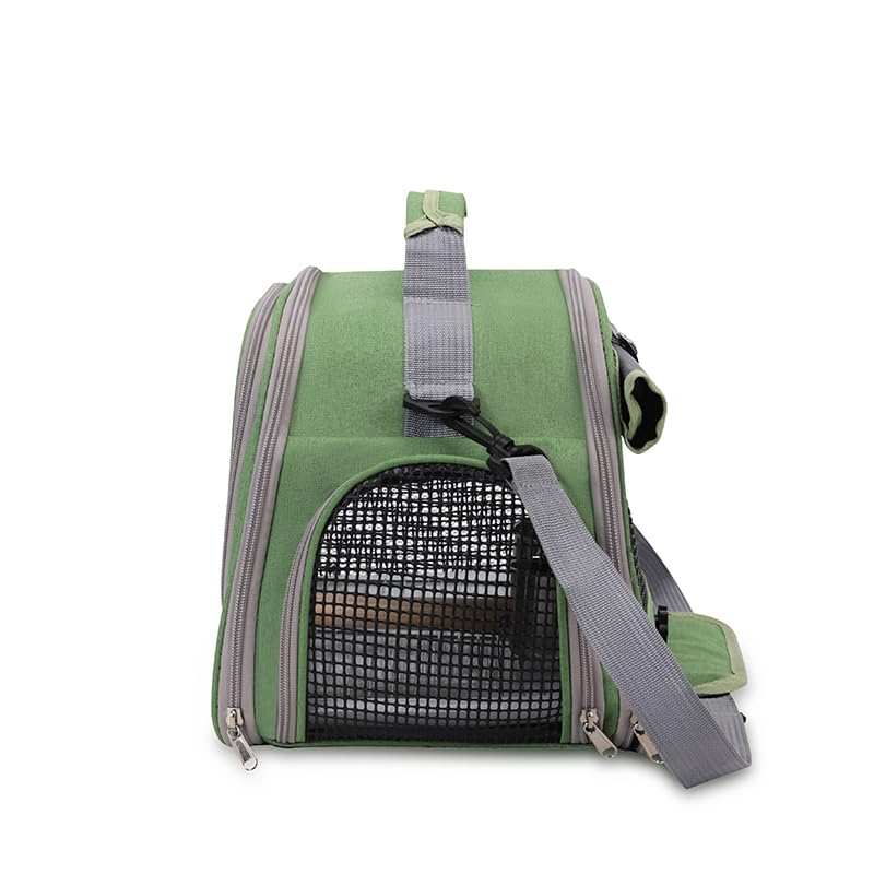 Bird Travel Carrier Bag, Portable Small Bird Parrot Parakeet Carrier | with Standing Perch and Tray, Side Access Window Collapsible Bird Carry Transport Bag for Vet Visit(Green)