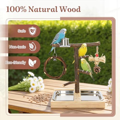 Bird Playground,Natural Wooden Parrot Play Stand with Swing,Chew Toys,Feeding Cups,Bird Perch Suitable for Small and Medium Birds Like Parakeets, Budgerigars,Cockatiels