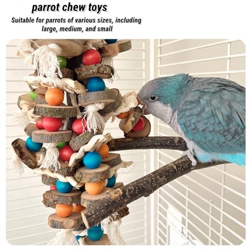 Bird Parrot Toys for Cage, 2 Pack Chew Toys with Apple Wood Slices, Cuttlebone & Colorful Blocks for Parakeets,Cockatoos, Conures, Cockatiels (Apple Wood Chips + Cuttlefish Bone) - size: Apple wood chips + cuttlefish bone