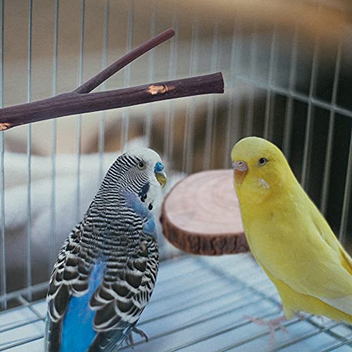 8Pcs Natural Wood Bird Perch Stand, Parrot Perch Branch & Platform for Cage | Wooden Fork Perch and Stick Accessories for Parrotlets Budgies Cockatiels Parakeets Lovebirds Cage