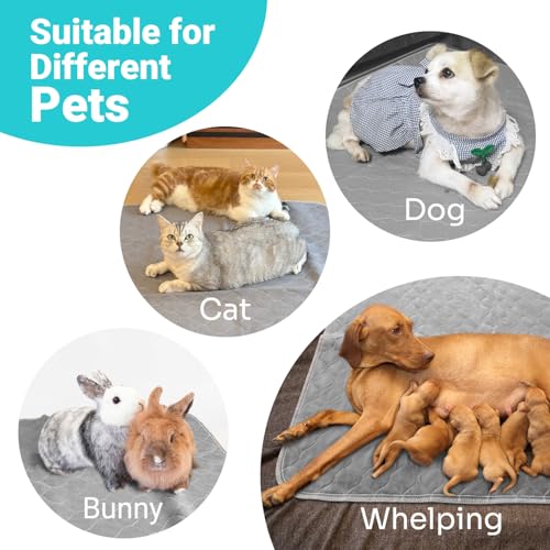 Reusable Pee Pads for Dogs Extra Large 60" x 48" Puppy Playpen Mat | Washable Pee Pads Heavy Absorbency Waterproof Dog Training Pads Non-Slip for Housebreaking, Whelping, Potty, Crate - size: 48x60 Inch (Pack of 1)