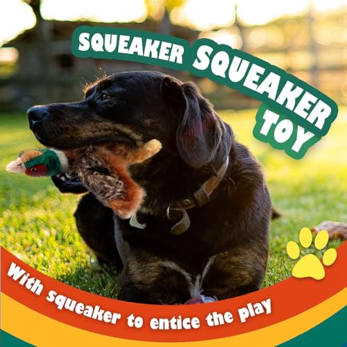 ALL FOR PAWS Dog Interactive Pheasant Toys, Squeaky Dog Toys, Stuffed Animal Dog Hunting Plush Toy, Small