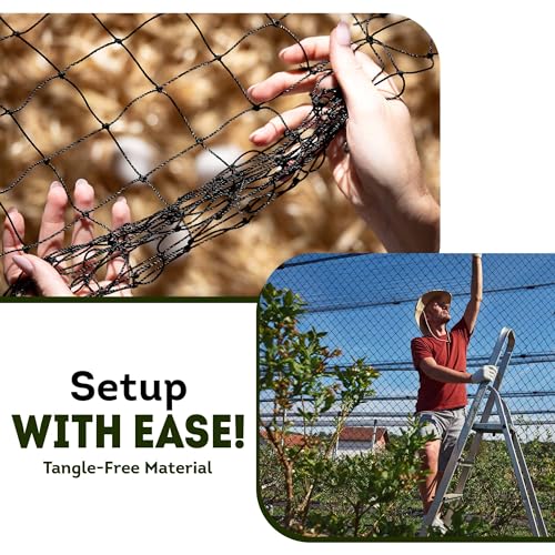 Heavy Duty Bird Netting for Chicken Coops & Runs | Keep Hawks, Birds & Predators Away | Hawk Netting 1.5 mm Thickness - Mesh 2"x2" | Aviary Net 50 x 100 ft (25 x 50 ft) - size: 25 x 50 ft