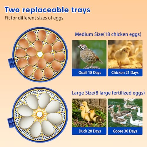 18 Egg Incubator Automatic Egg Turner Temperature & Humidity Control, Incubators for Hatching Eggs, Chicken, Ducks, Goose, Pigeon, Quail, Parrot Incubator Farm,Lab,Science Classroom,Home (Blue-18 Egg)