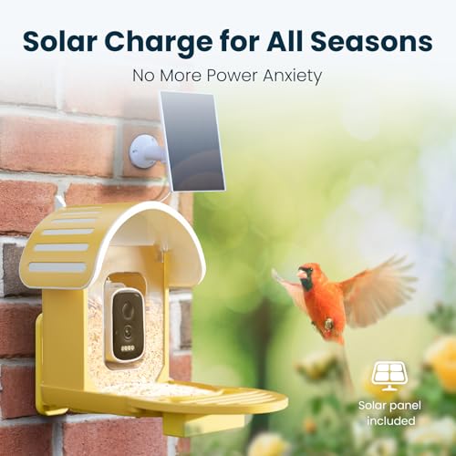 Smart Bird Feeder with Camera, Yellow | 2.5K UHD, AI Bird Species Identification, Solar Powered, 2.4G WiFi, IP66 Waterproof Outdoor, Instant Alerts, Gift - color: Yellow