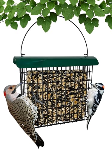 Large Suet Feeder - Metal Woodpecker Suet Cage w/Roof | Holds 1 Large Seed Cake. Metal Roof Keeps Suet Dry. Multiple Clinger Birds Feed at Once - Woodpeckers, Finches, Chickadees.