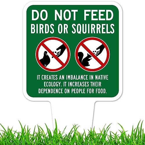Do Not Feed Birds and Squirrels Sign, 7"x13", Heavy Duty Integrated Ground Stakes, Indoor/Outdoor Use, Rust Free Aluminum Composite, Made in USA by My Sign center - color: Birds/Squirrels, size: 7"x13"