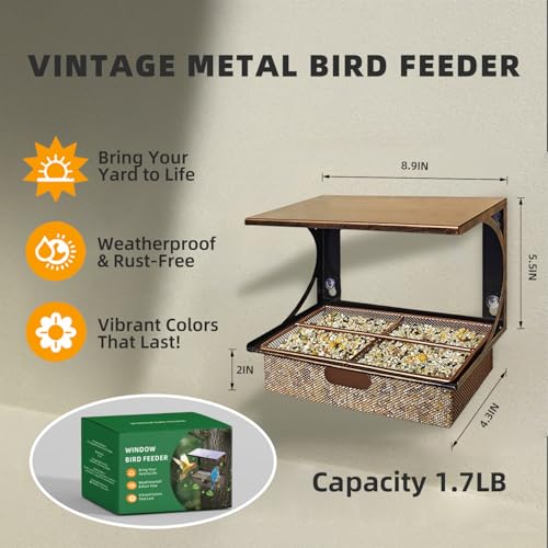 Window Bird Feeder Metal Bird Feeder for Outdoors Birdwatching | with 4 Strong Suction Cups and Adhesive Hook, Sturdy Rust-proof Gifts for Cats & Nature Lovers