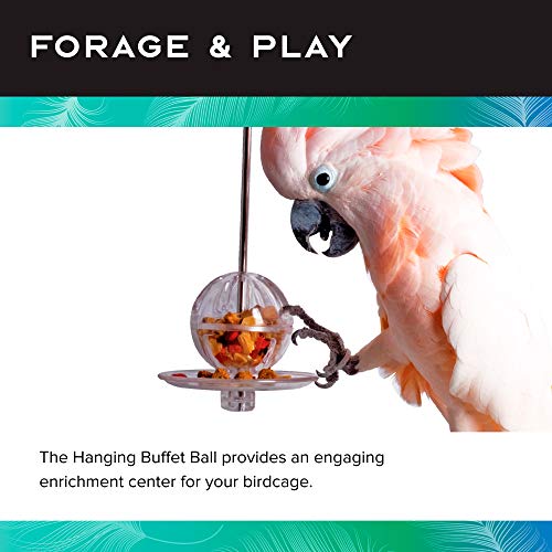 Featherland Paradise - Hanging Buffet Ball - Interactive Bird Toy and Treat Dispenser - Creative Foraging Systems - Ideal for Medium to Extra Large Birds - style: Buffet Ball & Skewer