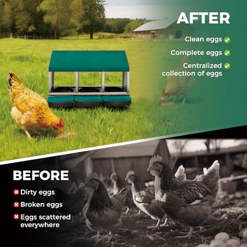 Chicken Nesting Box 3-Compartment Roll-Out with Pull-Out Trays, Egg Nesting Boxes for Hens, Chicken Coop Laying Box,Easy Wall Mounting with Metal Legs - color: green, size: 3 holes