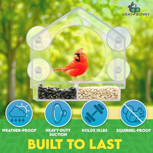 Gray Bunny Window Bird Feeder House – Suction Cup Mount Feeder | Suction cup bird feeder, birdhouse window, suction bird house, strong suction cups, easy to clean - style: Large House