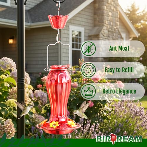 Birdream Glass Hummingbird Feeders, 18oz Large Capacity, Red | 5 Feeding Ports, Built-in Ant Moat, For Outdoors Hanging, Decorative for Garden Patio Backyard - color: Red