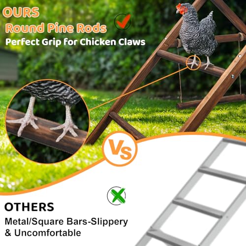 Pine Wood Chicken Perch with 2 Swings & Ladder, Multi-Level Chicken Roosting Bars for Backyard Coop, Roosting Bars for 10–12 Chickens, Easy to Assemble & Clean