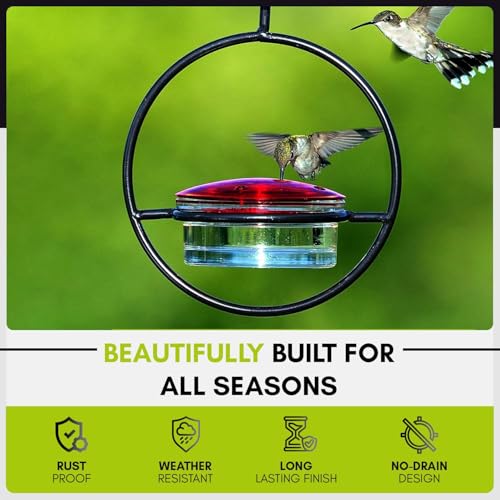 Mosaic Birds Hummble Slim Hummingbird Feeder, M045-301, 3.4 Ounce Capacity, Clear, 1 Piece