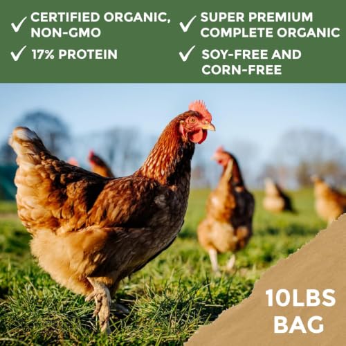 New Country Organics | Corn-Free Classic Layer Chicken Feed for Laying Hens | Corn-Free and Soy-Free | 17% Protein | Certified Organic and Non-GMO Chicken Food | 10lbs Bag - size: 10 Pound (Pack of 1)