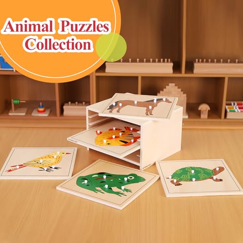Montessori Bird Anatomy Puzzle, Wooden Body Parts Learning Toy, Preschool Science Puzzle for Kids Ages 3-6, Classroom & Homeschool, Baltic Birch - color: Bird