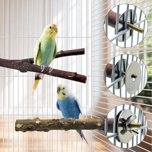 BNOSDM 5PCS Bird Perches Stand with Mirror Parrot Wood Stick Perches | Natural Forked Perch Branch Parakeet Toy Set Bird Cage Accessories for Budgie Cockatiel Conure Finch Lovebird