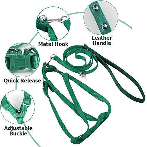 ASOCEA Adjustable Bird Harness and Leash, 2 Pack Bird Food Stainless Steel Cups for Yellow Naped Amazons Galah Cockatoos Small to Medium Breed Parrots Fits Birds Chest