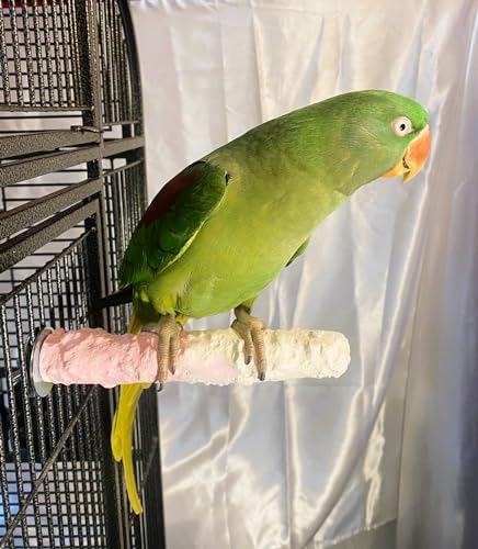 Polly's Edible Cuttlebone Calcium Bird Cage Perch for Budgies, Parakeets, Amazons, Blue & Golds, Macaws and Cockatoos.… (Strawberry, Medium) - color: Strawberry, size: Medium