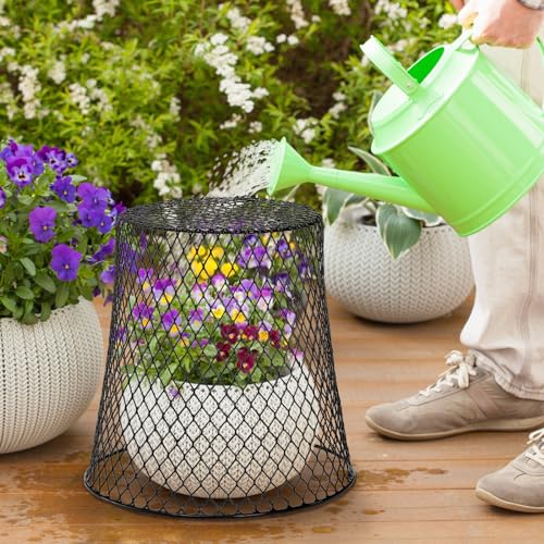 SOUJOY 10 Pcs 8"x8" Chicken Wire Plant Protect Covers, Metal Garden Cloche | UV-Resistant, Rustproof Metal Mesh with 30 Stakes & 20 Labels, Keeping Bunnies Chicken Squirrels Birds Out, Allows Airflow