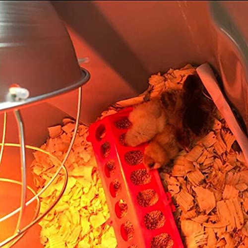 2Pcs Plastic Flip Top Chicken Feeders Plastic Small Poultry Feeder Drinker, Poultry Feeding Tray with Holes Poultry Trough Tool for Farm Chick Feeder