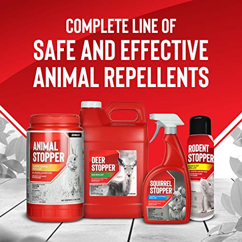 Squirrel Stopper Repellent Spray - Chipmunk & Squirrel Deterrent for Bird Feeders, Garden & Homes - Weather-Resistant Formula - Scent, Taste & Touch Barrier - Safe Around Kids & Pets - 1 Gallon - size: 128 Fl Oz (Pack of 1)