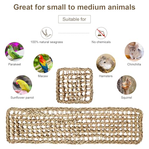 2Pcs Natural Sea Grass Parrot Mat - Foraging Chew Wall Toy with Climbing Rope & Hook, Hanging Play Pad for Lovebirds/Cockatoos/Budgerigars/Conures/Pigeons | 2 Sizes29.53x6.89 &7.48x7.48 Inches