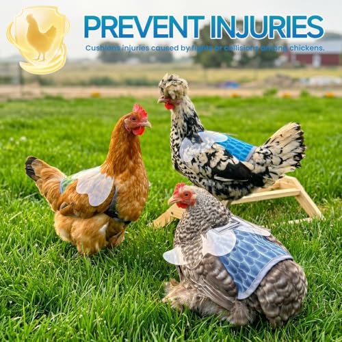 MYWSN Chicken Saddle with Wing Protector - Chicken Aprons for Hen | Polyester lightweight chicken apron prevents feather pecking & scratches; adjustable hidden straps stay secure