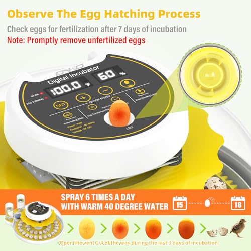 40 Quail Egg Incubator with Automatic Egg Turning Humidity Control Eggs | Large Capacity Quail Brooder Poultry Incubators, Also for Parrot, Dove, Canary and Other Birds - color: Yellow