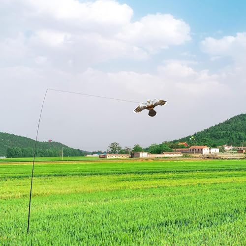 Bird Scarer Kite Without Pole Crops Farm Protector Hawk Flying Kite-Type-D | Ideal for gardens farms and docks | Keeps birds geese and seagulls away |A kind of hawk deterrent - color: Brown-White