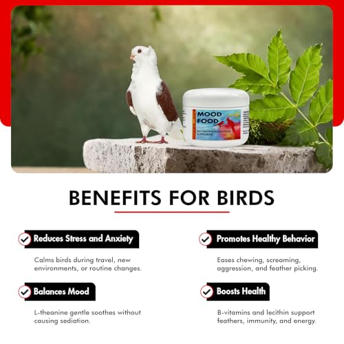 Mood Food 4.5 oz – Natural Calming Supplement for Birds – Non-Sedating Formula – Helps Reduce Stress, Aggression & Feather Plucking – Gentle Support with Amino Acids & B Vitamins - size: 4.5 Oz