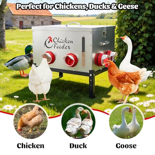 80LB Metal Chicken Feeder, Rat Proof Automatic Chicken Feeder with Visible Window & 8 Ports, Galvanized No Waste Poultry Feeder for Chickens, Ducks, Geese - size: 80 LBS