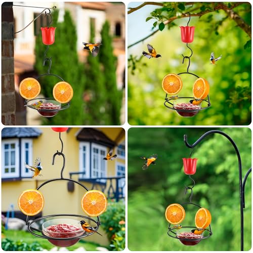 2 Pack Metal Oriole Feeders for Outdoors Hanging with Ant Moat and Fruit Holder, Oriole Feeder with Glass Bowl, Easy to Disassemble and Wash, Bird Feeder for Garden, Outdoor, Gift (Black)
