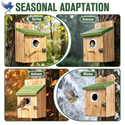 Bird Houses for Outside, 2 Pack Hanging Birdhouse for Outdoor | Wood Nest 1-1/2" Entrance, Metal Guards, Safety Locks, Flight Slots