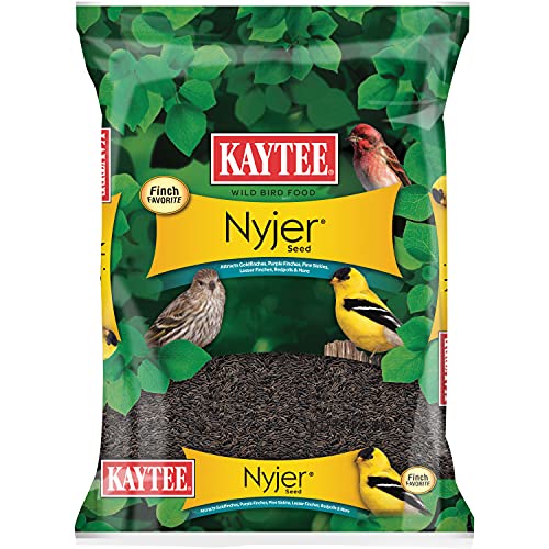 Kaytee Nyjer Seed for Finches & Other Wild Birds, 5 Pounds | Less mess. Finch bird seed for small songbirds. No hulls, 100% edible, bird seed for outside feeders - size: 3 Pound (Pack of 1), style: 3 Pound Bag