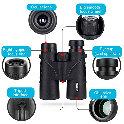 10x42 Binoculars for Adults - Professional HD Roof BAK4 Prism Lens Binoculars for Bird Watching, Hunting, Travel, Sports, Cruise, with Carrying Bag (1.1Lbs) - style: New Model