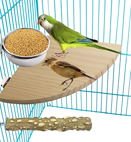 3 Pack Bird Feeding Bowls Cups Parrot Food Water Dishes, Stainless Steel Bird Bowl Cup Dish with Clamp, Birdcage Feeder Pet Cage Bowls for Cockatiel Budgie Conure Macaw Parakeet Small Animal - size: 3 Pack