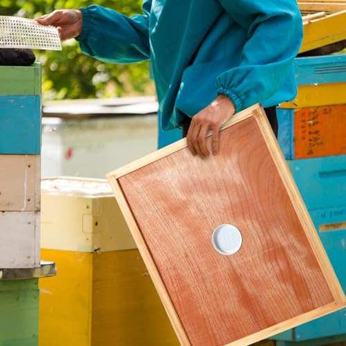 Colingmill 2 Pack Bee Hive Inner Cover and Bee Entrance Feeders for 10 Frame Hive Box Cover with Feeding Hole Insulation Ventilation Inner Cover Perforated for Beekeeping Supplies