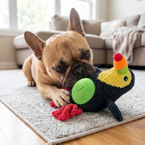 Black Toucan Bird Dog Chew Toy, 10.6 in, Squeaker Rope Treat Toy | Pineapple Fleece, PP Cotton Filled, Nylon Reinforced Rope, Crinkle Paper, Bite Resistant, Interactive Play, Small Medium Dogs - color: Black Toucan