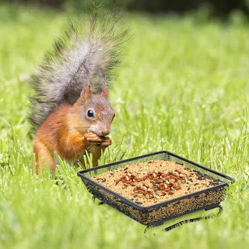 4 Pcs 7x7 Inch Metal Ground Bird Feeder Tray – Rust-Resistant Platform Feeders for Wild Birds and Squirrels – Outdoor Use in Garden, Lawn, or Patio - size: Square - 4 Pcs