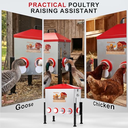Automatic Chicken Feeder, 130LB Large Metal Poultry Feeder with 10 Ports | No Waste Metal Rat Proof Design With View Window And Adjustable Legs For Chickens, Ducks & Geese. Ideal Chicken Coop Feeder - size: 10 Ports - Max 130 lb