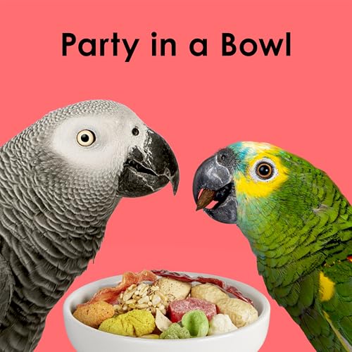 Kaytee Fiesta Parrot Food 25 pound bag - size: 25 Pound (Pack of 1)